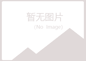 河池寒安能源有限公司